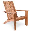 Adirondack Easybac