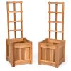 Set Of 2 Planter Box's With Trellis