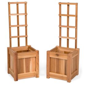 Set Of 2 Planter Box's With Trellis