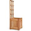 Set Of 2 Planter Box's With Trellis