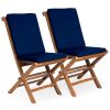 2 Folding Chairs w/ Blue Cushion