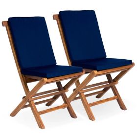2 Folding Chairs w/ Blue Cushion