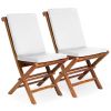 2 Folding Chairs w/ White Cushion