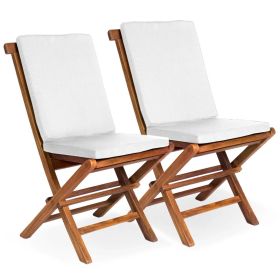 2 Folding Chairs w/ White Cushion