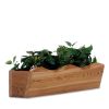 Window Box