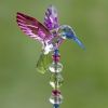 Set of 6 Assorted 22" Tall Five Tone Acrylic Hummingbird Pot Stakes