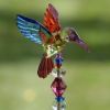 Set of 6 Assorted 22" Tall Five Tone Acrylic Hummingbird Pot Stakes