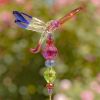 Set of 6 Assorted 22" Tall Five Tone Acrylic Dragonfly Pot Stakes