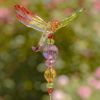 Set of 6 Assorted 22" Tall Five Tone Acrylic Dragonfly Pot Stakes