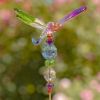 Set of 6 Assorted 22" Tall Five Tone Acrylic Dragonfly Pot Stakes