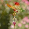 Set of 6 Assorted 22" Tall Five Tone Acrylic Butterfly Pot Stakes