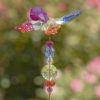 Set of 6 Assorted 22" Tall Five Tone Acrylic Butterfly Pot Stakes