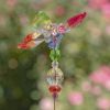 Set of 6 Assorted 22" Tall Five Tone Acrylic Butterfly Pot Stakes