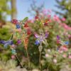 Set of 6 Assorted 22" Tall Five Tone Acrylic Butterfly Pot Stakes
