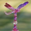 Set of 6 Assorted 54" Five Tone Acrylic Dragonfly Garden Stakes