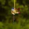 Set of 6 Assorted Five Tone Hanging Acrylic Chickadee Ornaments