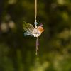 Set of 6 Assorted Five Tone Hanging Acrylic Robin Ornaments