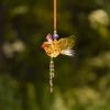 Set of 6 Assorted Five Tone Hanging Acrylic Robin Ornaments