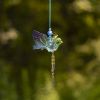 Set of 6 Assorted Five Tone Hanging Acrylic Robin Ornaments