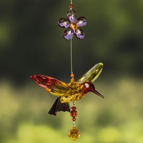 Set of 6 Assorted Five Tone Acrylic Hummingbirds with Flowers