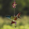 Set of 6 Assorted Five Tone Acrylic Hummingbirds with Flowers