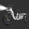 Ecotric 48V Tricycle electric bike with Front Basket