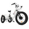 Ecotric 48V Tricycle electric bike with Front Basket