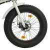 Spoke Lights