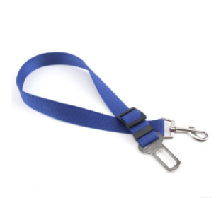 Fixed Strap Polyester Dog Strap Dog Leash Dog Leash (Option: 70cm-Blue)